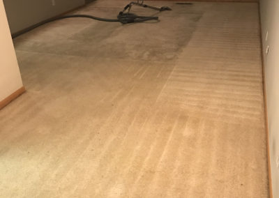 Carpet Cleaning Before/After