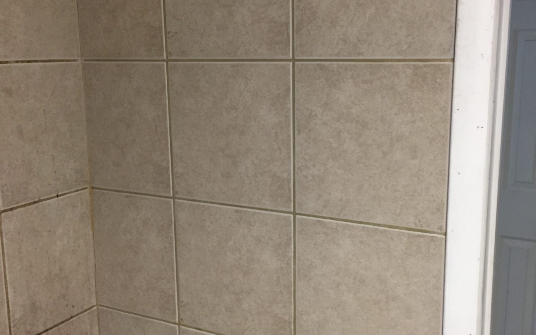 Shower & Tiles Before/After