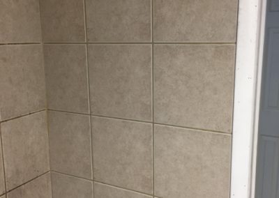 Shower & Tiles Before/After