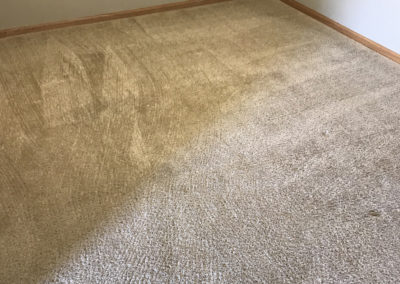 Carpet Cleaning Before/After 2